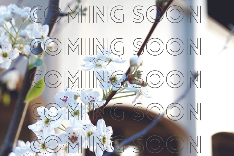 Aranmore Video Coming Soon_sized for webpage